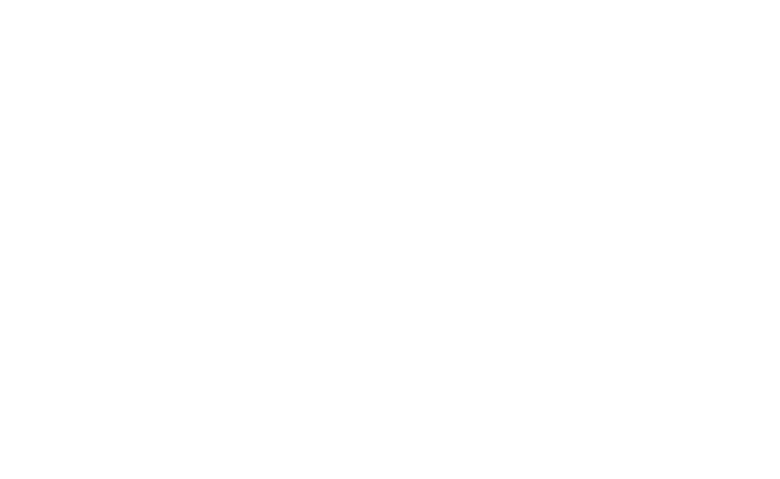 Sonic Logo