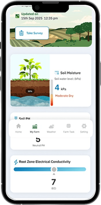 App Design